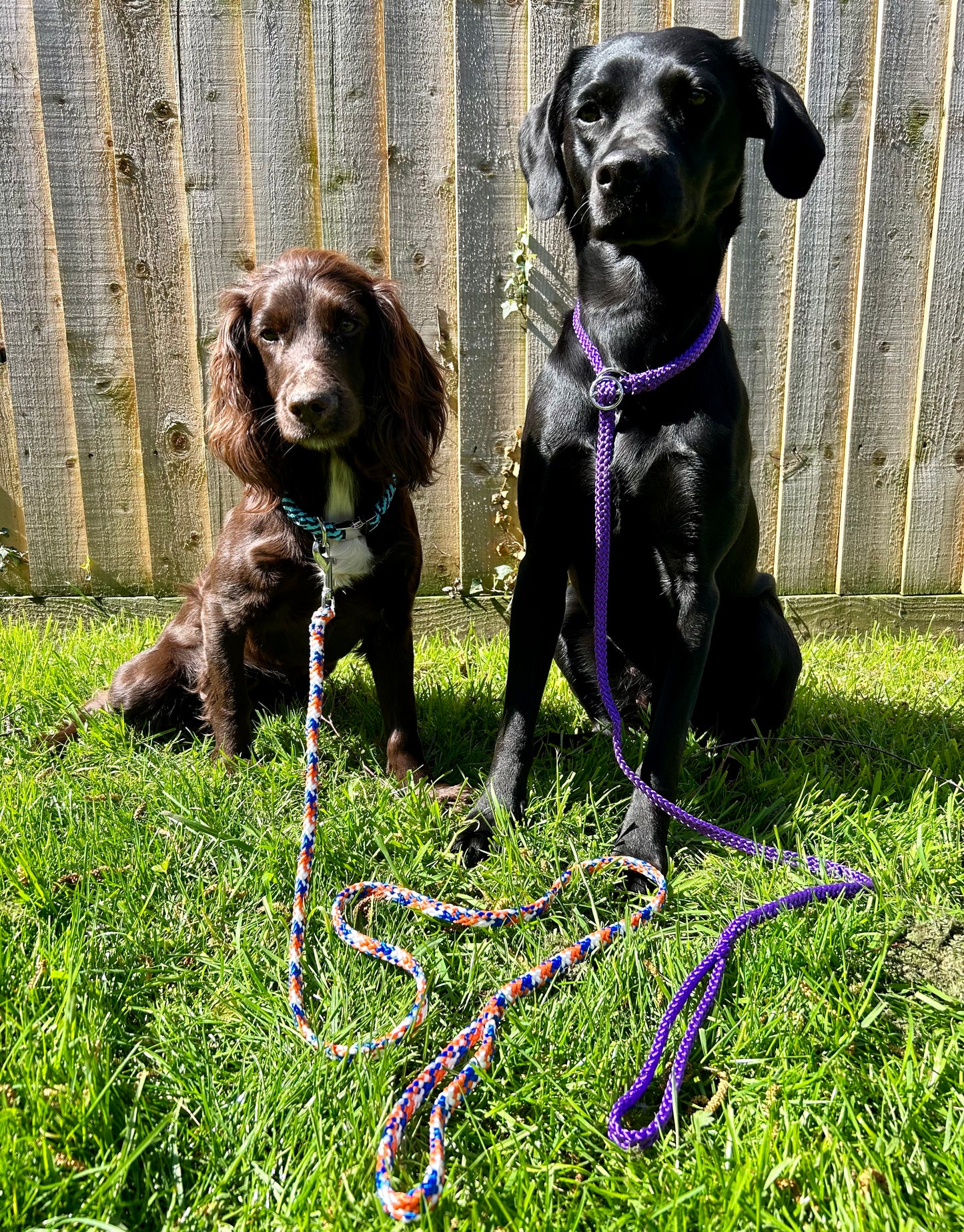 Slip Lead
